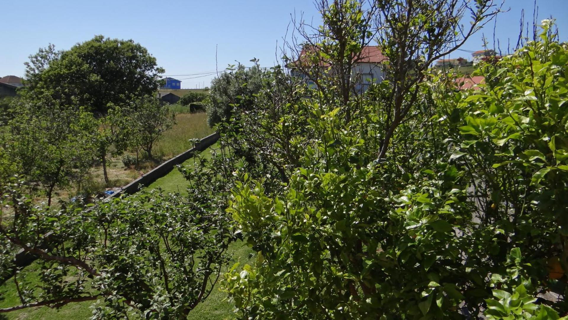 Casa De Lolo En Larino Villa การ์โนตา ภายนอก รูปภาพ